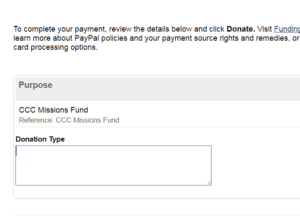 donation-Angel, Review Your Donation - PayPal